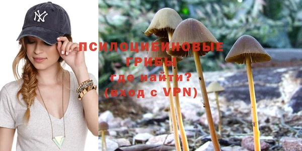 спайс Алексин
