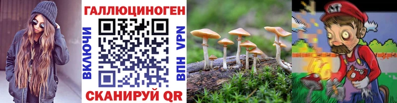 Галлюциногенные грибы прущие грибы  Рязань 